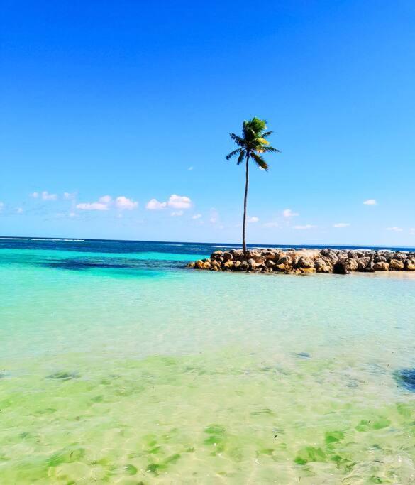 Studio Karaibes Sainte-Anne  Luaran gambar